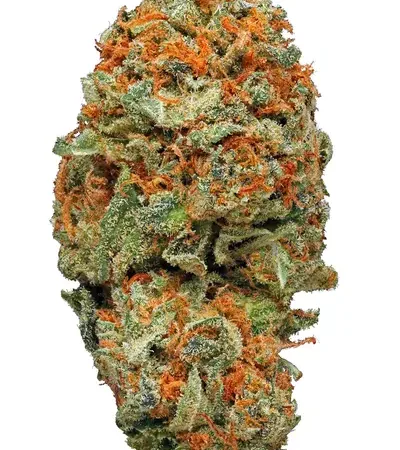 Buy Ak-47 Strain